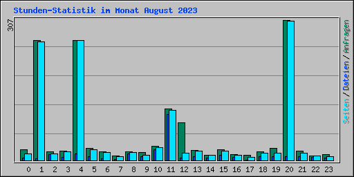 Stunden-Statistik im Monat August 2023