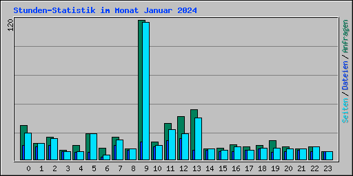 Stunden-Statistik im Monat Januar 2024