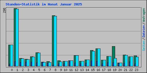 Stunden-Statistik im Monat Januar 2025