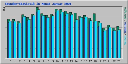 Stunden-Statistik im Monat Januar 2021