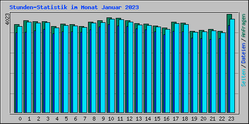 Stunden-Statistik im Monat Januar 2023