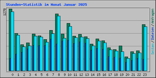 Stunden-Statistik im Monat Januar 2025