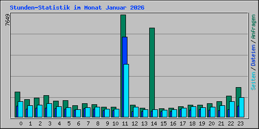 Stunden-Statistik im Monat Januar 2026