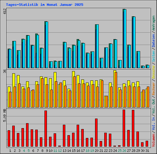Tages-Statistik im Monat Januar 2025