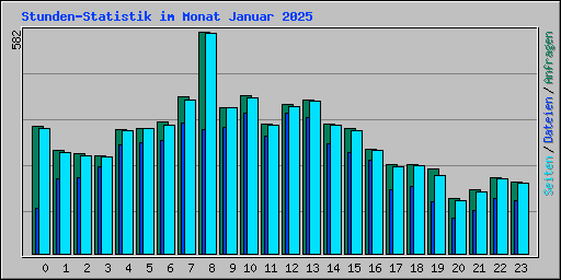 Stunden-Statistik im Monat Januar 2025