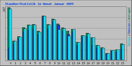 Stunden-Statistik im Monat Januar 2025