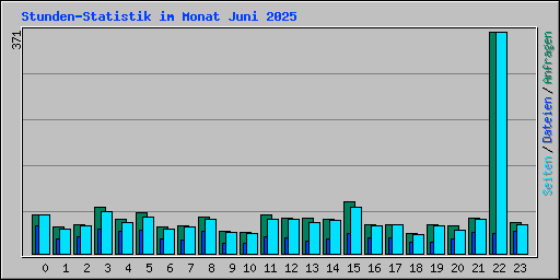 Stunden-Statistik im Monat Juni 2025