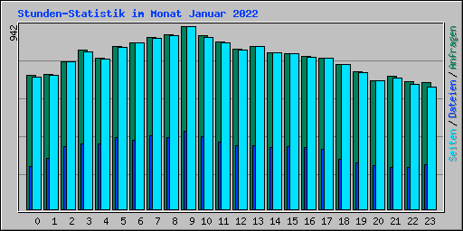 Stunden-Statistik im Monat Januar 2022