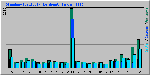 Stunden-Statistik im Monat Januar 2026